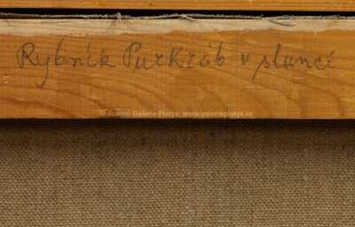  / Rybník Purkráb v slunci / František Líbal