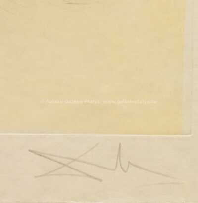  / Jezdec s trumpetou v zálivu Port Lligat / Salvador Dalí