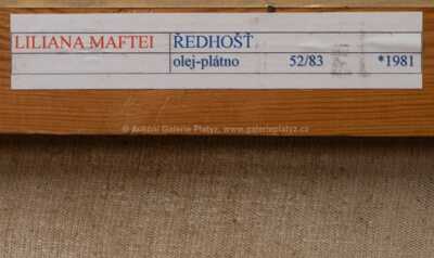  / Ředhošť / Liliana Maftei