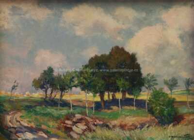  / U Maredova křížku v Mladé Vožici / Ota Bubeníček