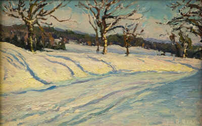  / Pod sněhem / Bohuslav Dvořák