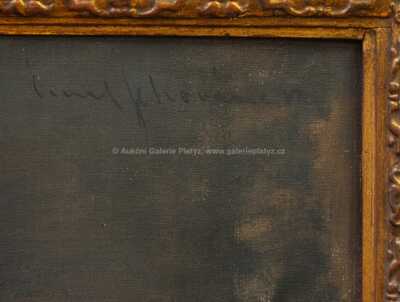  / Žena s mísou ovoce / Emil Schovánek