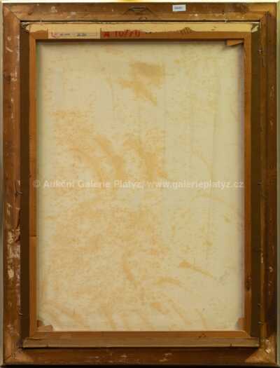  / V zasnění / Vladimír Křepinský