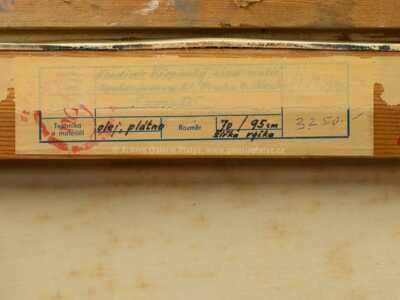  / V zasnění / Vladimír Křepinský