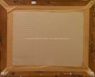  / Lázeňský koncert / Karel Langer