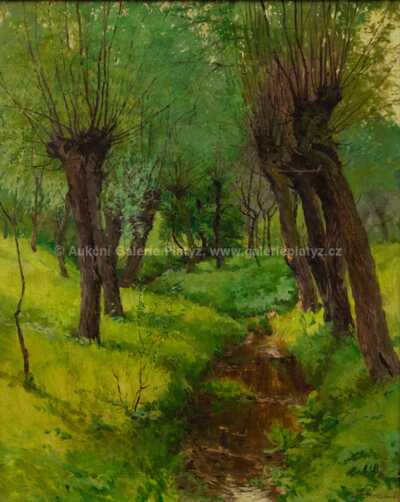  / Vrby u potoka / Oldřich Hlavsa