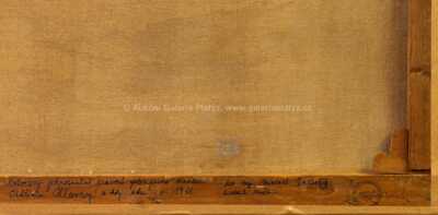  / Vrby u potoka / Oldřich Hlavsa