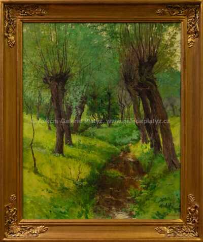 Oldřich Hlavsa - Vrby u potoka
