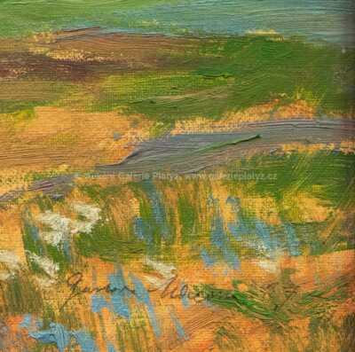  / V Kameničkách / Gustav Macoun