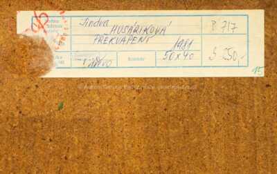  / Překvapení / Jindra Husáriková