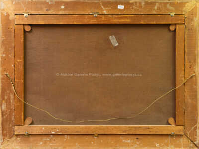  / Alpská krajina s řekou / Ferdinand Lepie