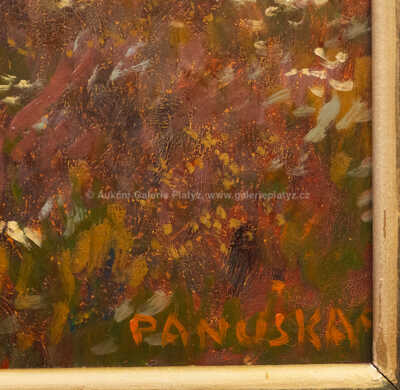  / Vřesoviště / Jaroslav Panuška