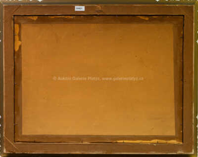  / Vřesoviště / Jaroslav Panuška