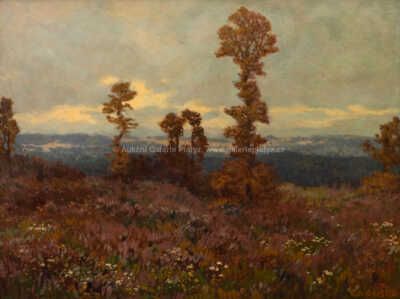  / Vřesoviště / Jaroslav Panuška