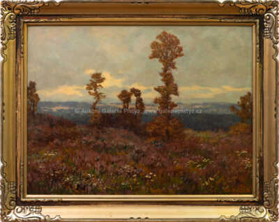 Jaroslav Panuška - Vřesoviště