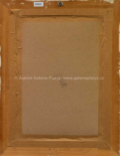  / Dívka v kroji / Antoš Frolka