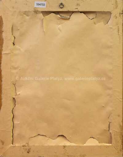  / Zbojník / Janko Alexy