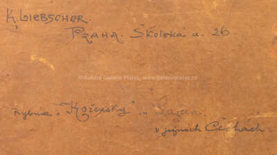  / Rybník Kořenský u Lažan / Karel Liebscher