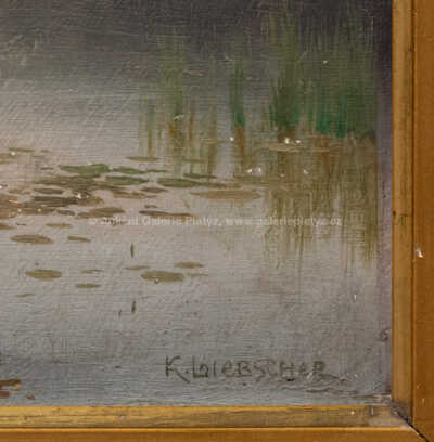  / Rybník Kořenský u Lažan / Karel Liebscher