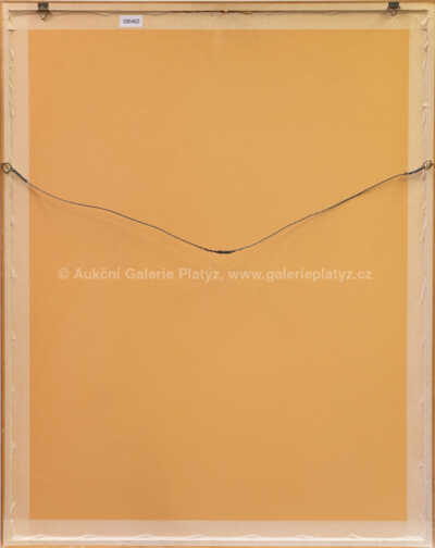  / Čich - z cyklu Smysly / Jiří Anderle