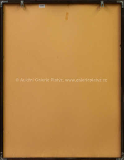  / Sluch - z cyklu Smysly - Pocta Josefu Sukovi / Jiří Anderle