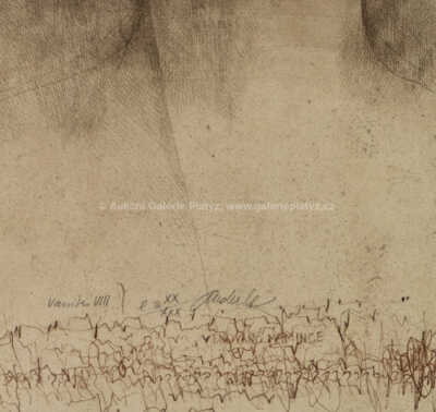  / Vanitas VIII / Jiří Anderle