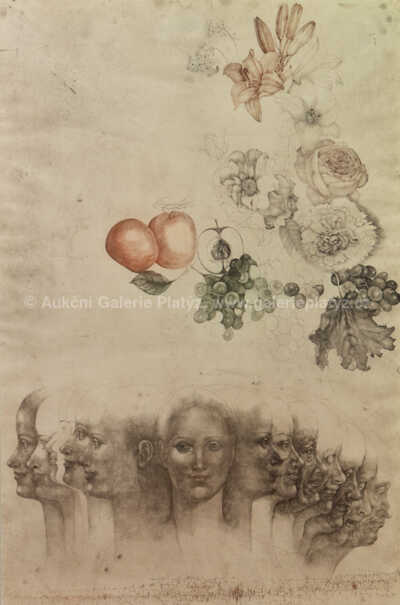  / Vanitas VIII / Jiří Anderle