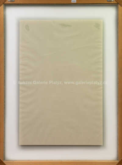  / Vanitas VIII / Jiří Anderle