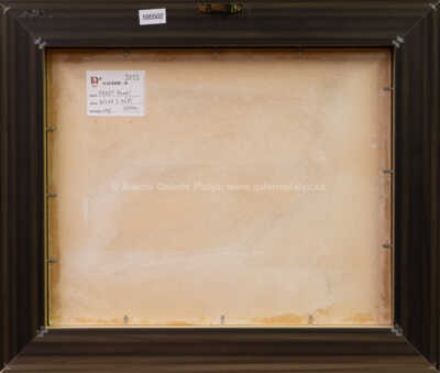  / Dívka s růží / Pavel Pardy