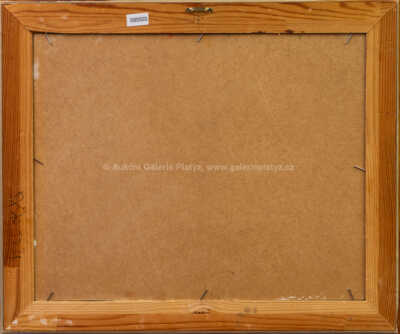  / Kamenný svědek / Pavel Pardy