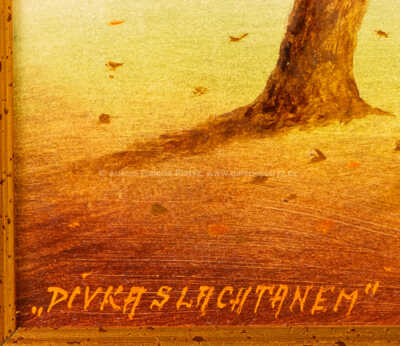  / Dívka s lachtanem / Pavel Pardy