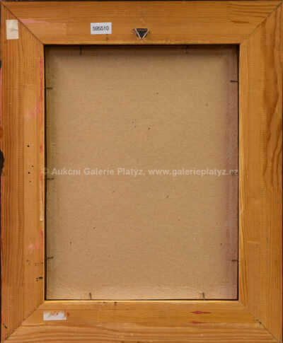  / Cosi mezi nebem a podzemím / Vlastimil Zábranský