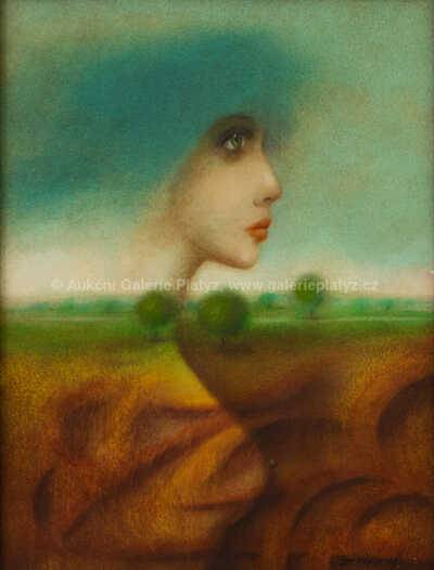  / Cosi mezi nebem a podzemím / Vlastimil Zábranský