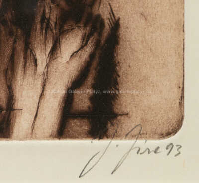  / Konvolut dvou kusů / Josef Jíra