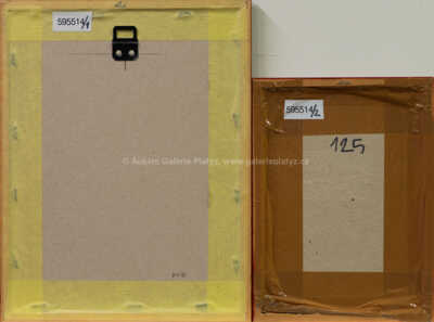  / Konvolut dvou kusů / Josef Jíra