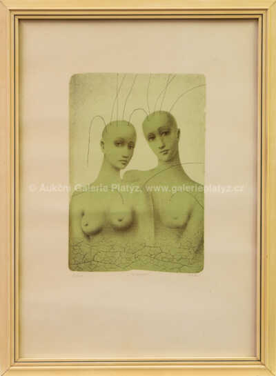 Vlastimil Zábranský - Holohlavé paní