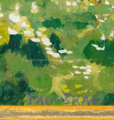  / Rozkvetlá louka / Jaroslav Panuška