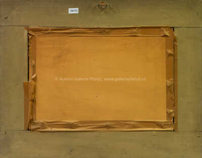  / Rozkvetlá louka / Jaroslav Panuška