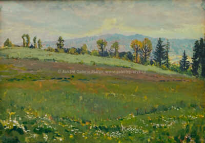  / Rozkvetlá louka / Jaroslav Panuška