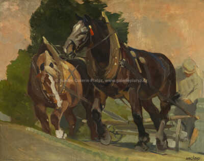  / Koně / Ludvík Vacátko