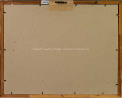  / Nocturno v Auray, Bretaň / František Tavík Šimon