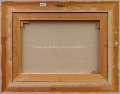  / Žlabava a Kunigunda / František Ringo Čech