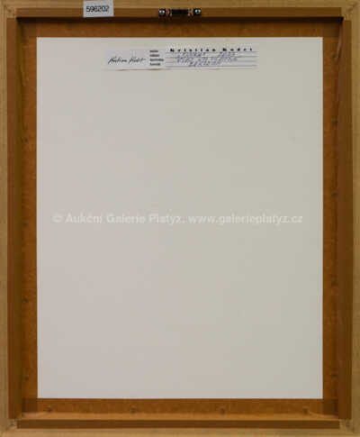  / Dívka / Kristian Kodet