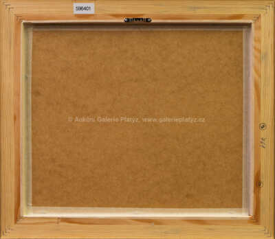  / 8 x dívka a růže / Jiří Anderle