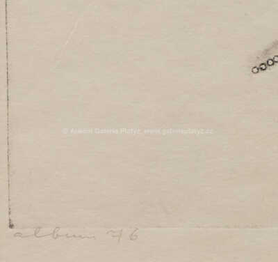  / Kachničky / Alena Kučerová