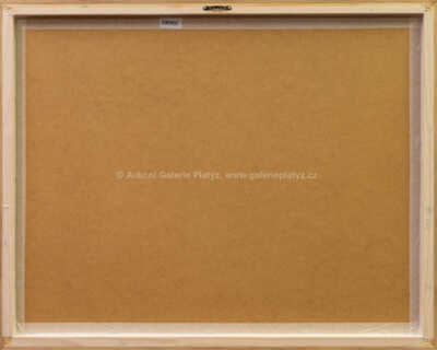  / Kachničky / Alena Kučerová