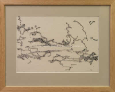 Alena Kučerová - Kachničky