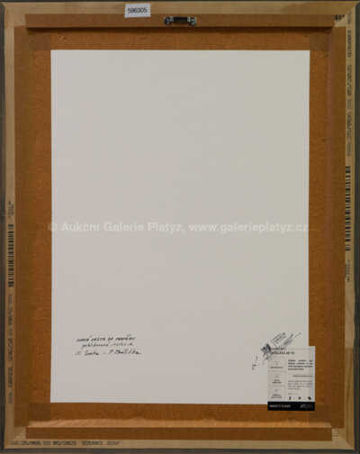  / Tyranosaurus Rex a Triceratops horridus / Petr Modlitba