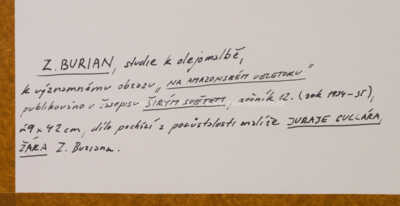  / Na amazonském veletoku / Zdeněk Burian