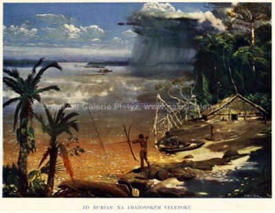  / Na amazonském veletoku / Zdeněk Burian